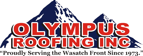 Olympus Roofing, Inc. Icon