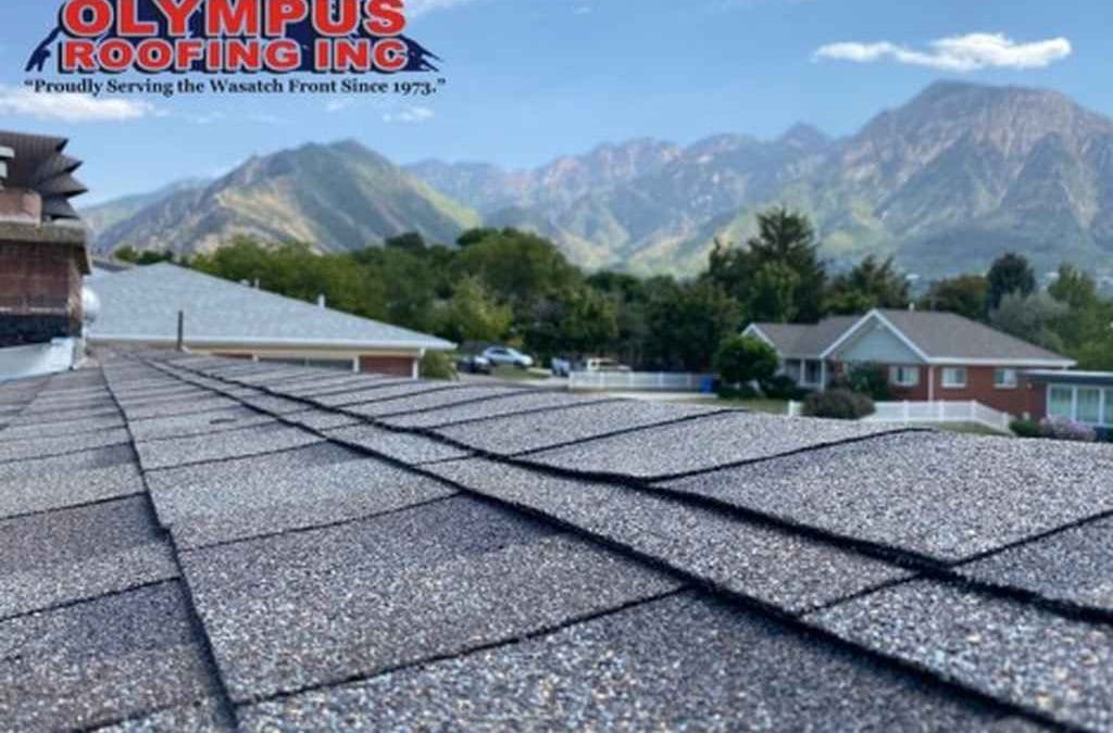 How Much Will I Pay for a Roof Repair in Sandy and Salt Lake City?