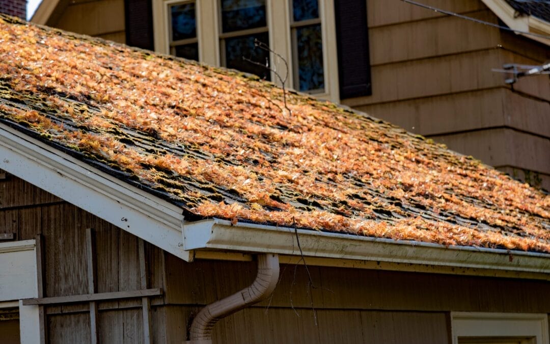 6 Tips to Help You Prepare Your Roof for Spring Weather in Sandy