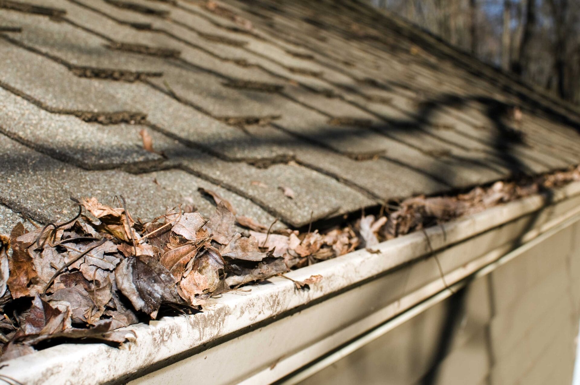 spring roof prep, spring roof damage, spring roof maintenance